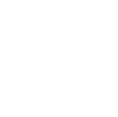 Logo femap