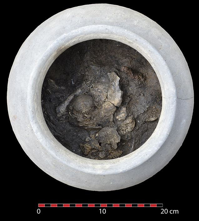 Limoges (87) Urne cinéraire antique en cours de fouille