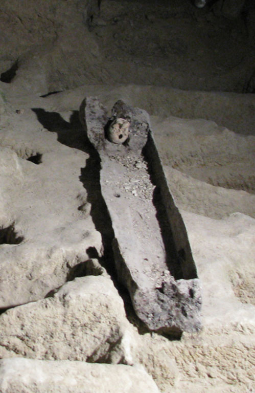 Fig. 3 – Vue du cercueil monoxyle